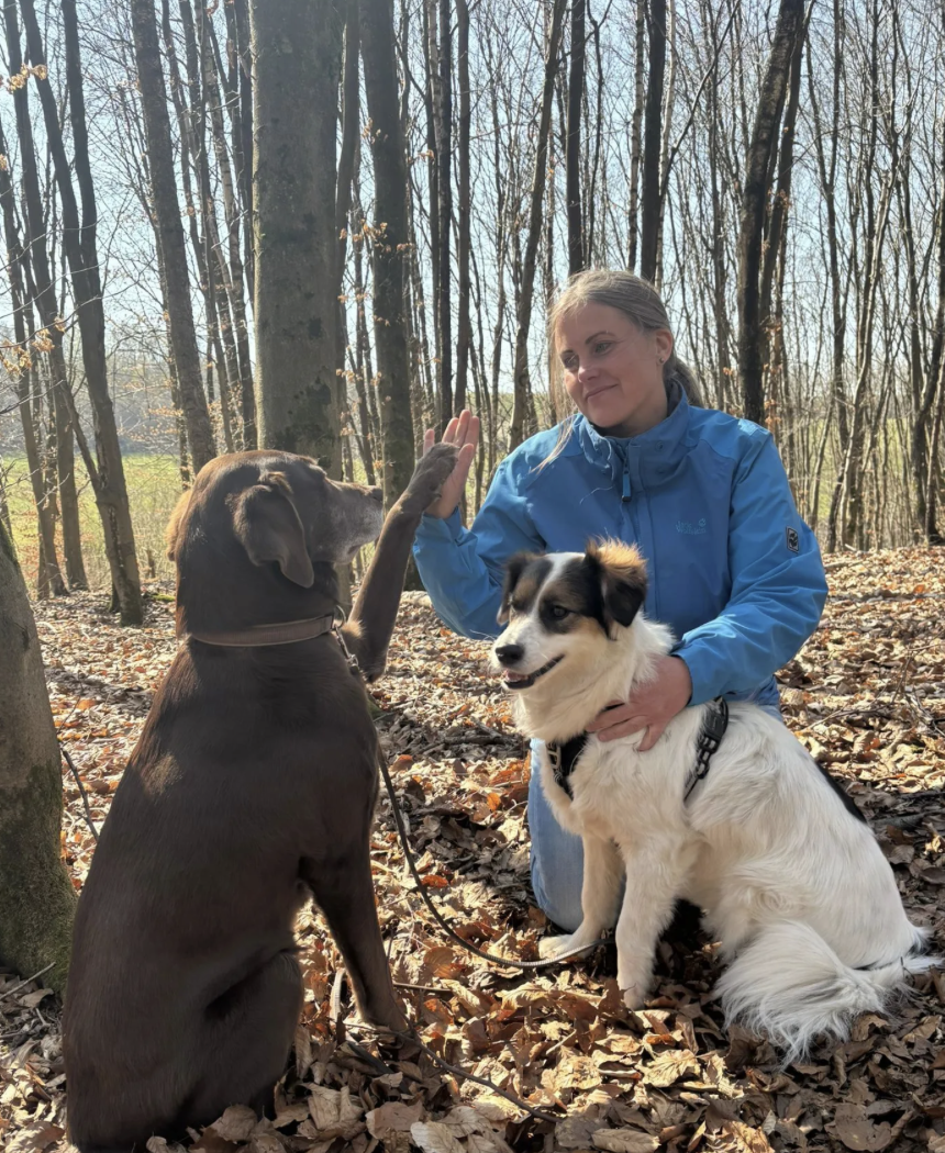 Titelbild für Allergien und Unverträglichkeiten bei Haustieren